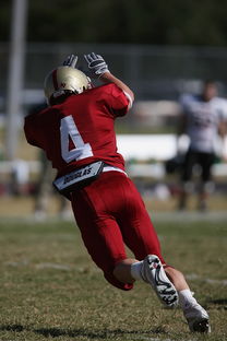 爱游戏平台-五大联赛争四阶段关键球员贡献值差异对比，五大联赛引援
